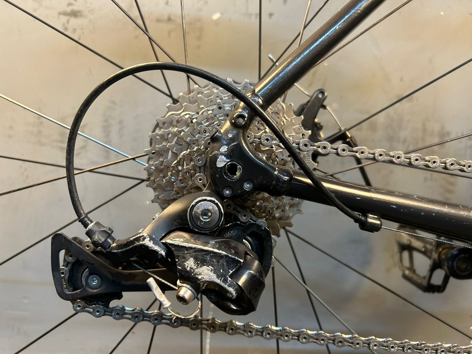 RENT Trek Domane AL3 Road Bike