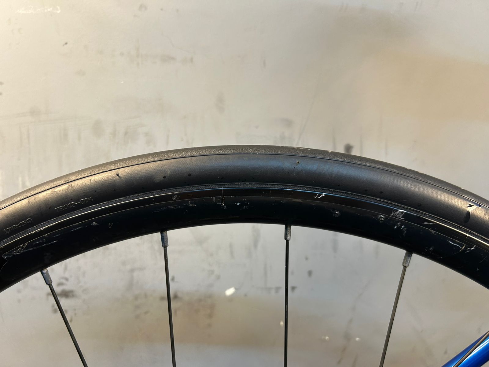 RENT Trek Domane AL3 Road Bike