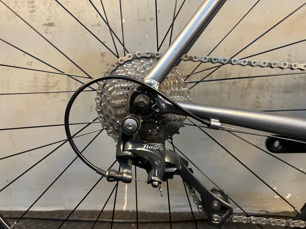 RENT Willier Montegrappa Road Bike