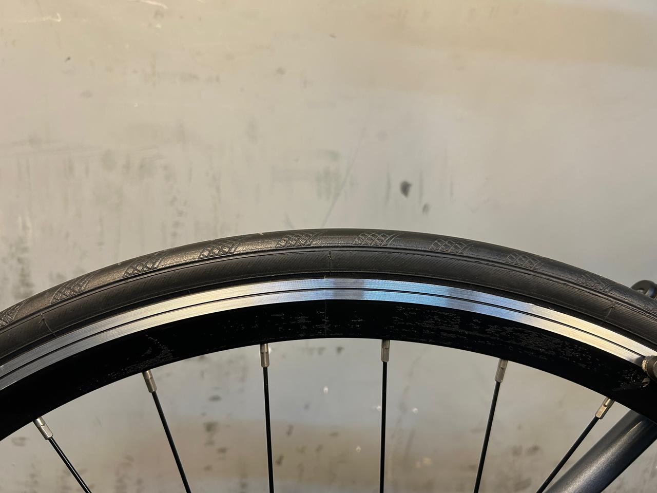 RENT Willier Montegrappa Road Bike