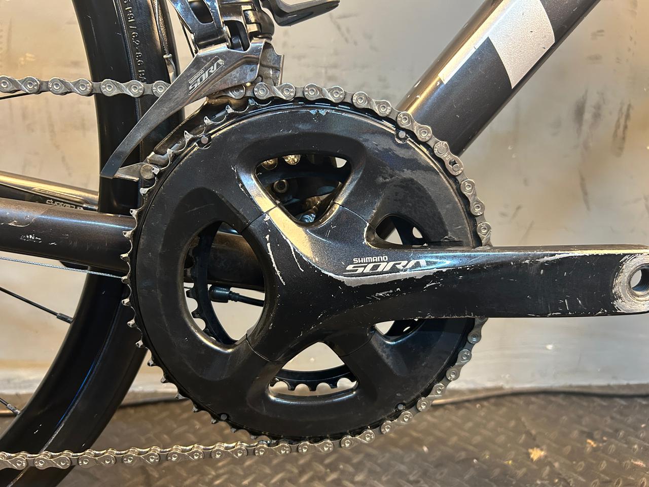 RENT Trek Domane AL3 Road Bike