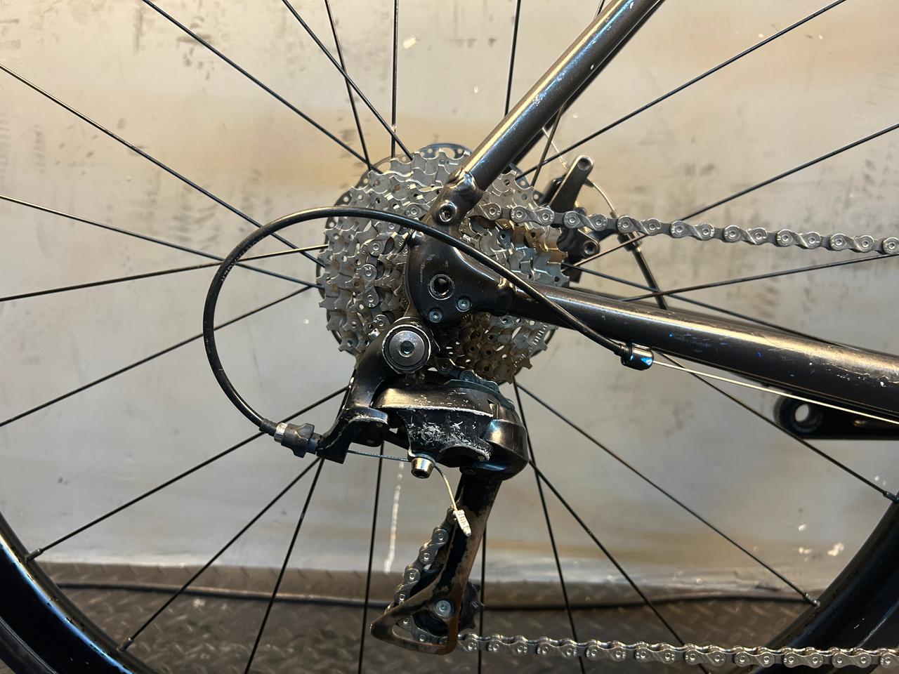 RENT Trek Domane AL3 Road Bike