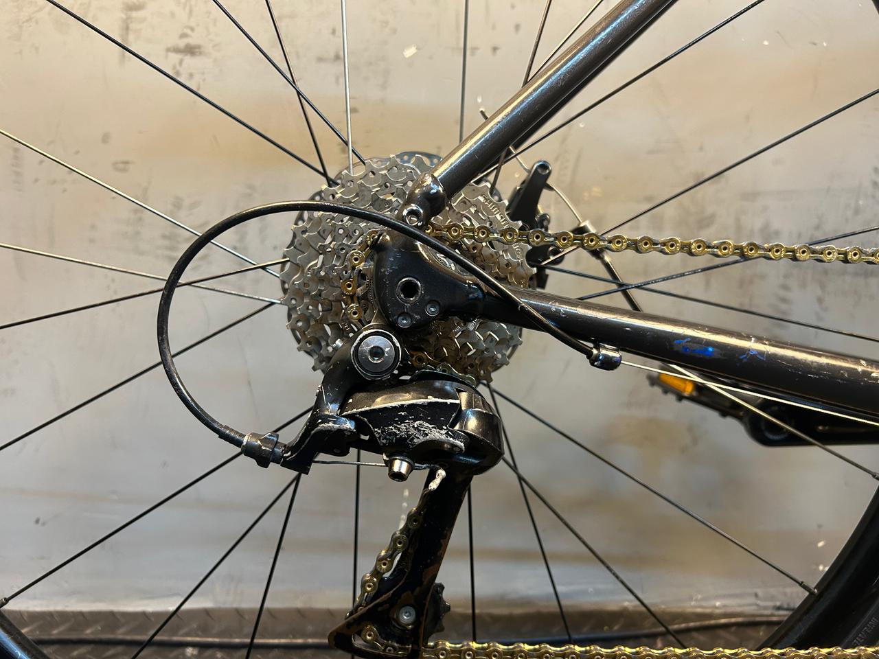 RENT Trek Domane AL3 Road Bike