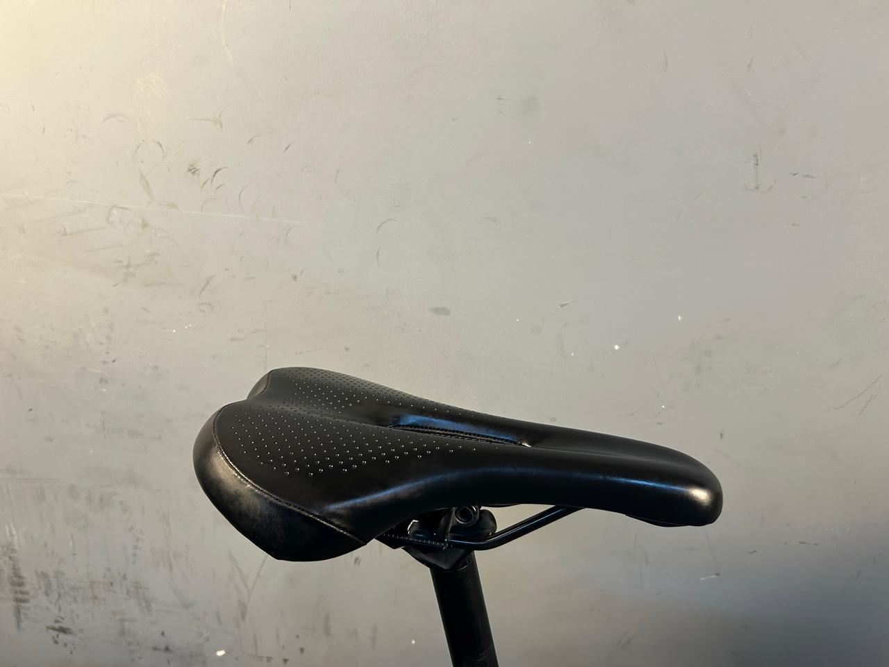 RENT Trek Domane AL3 Road Bike