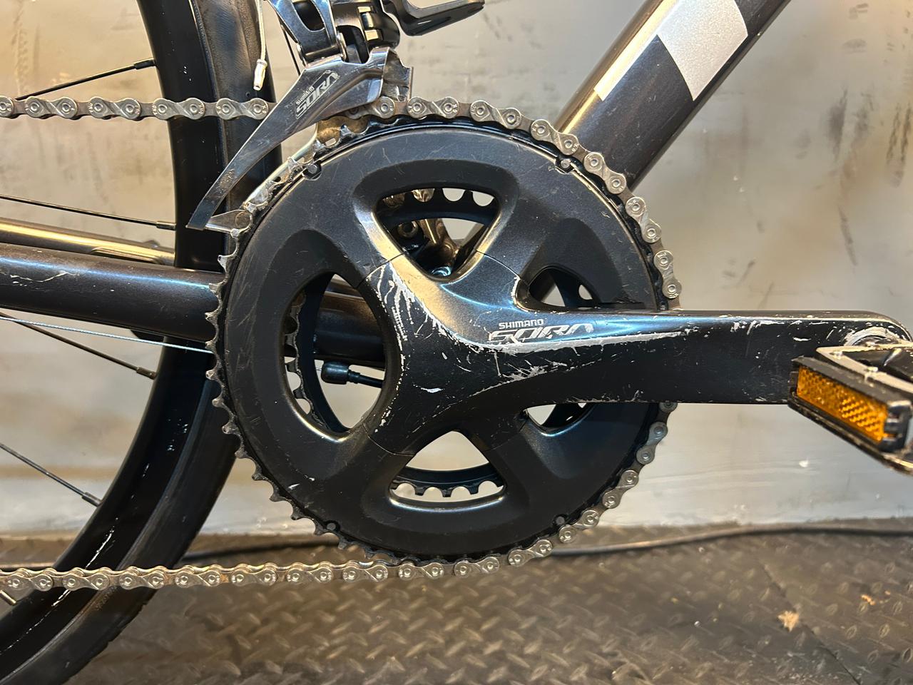 RENT Trek Domane AL3 Road Bike