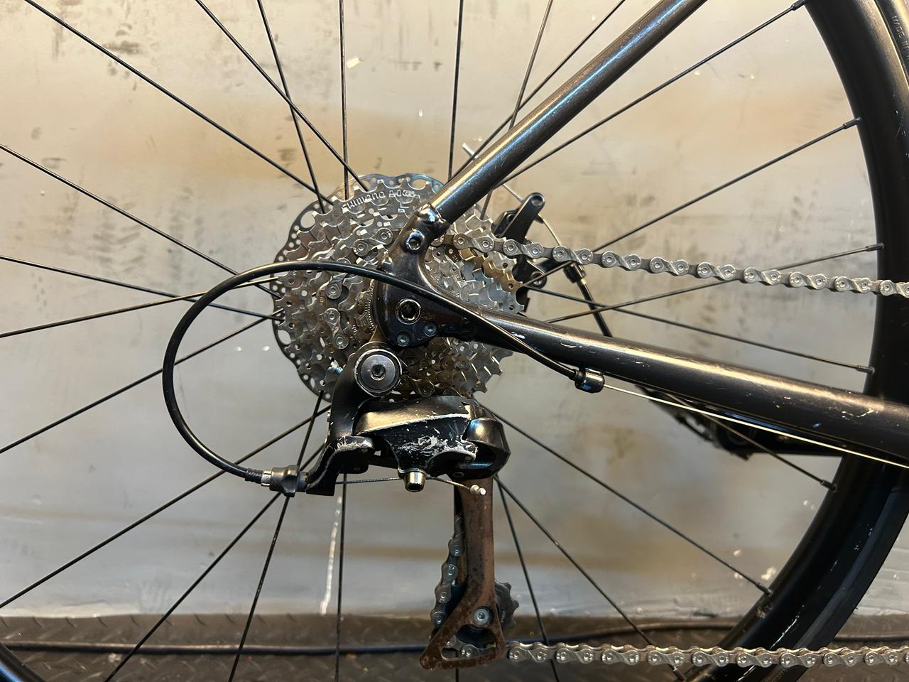 RENT Trek Domane AL3 Road Bike