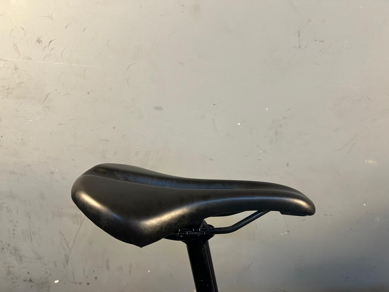 RENT Trek Domane AL3 Road Bike