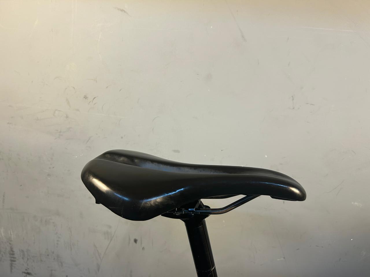 Trek Domane AL2 Road Bike