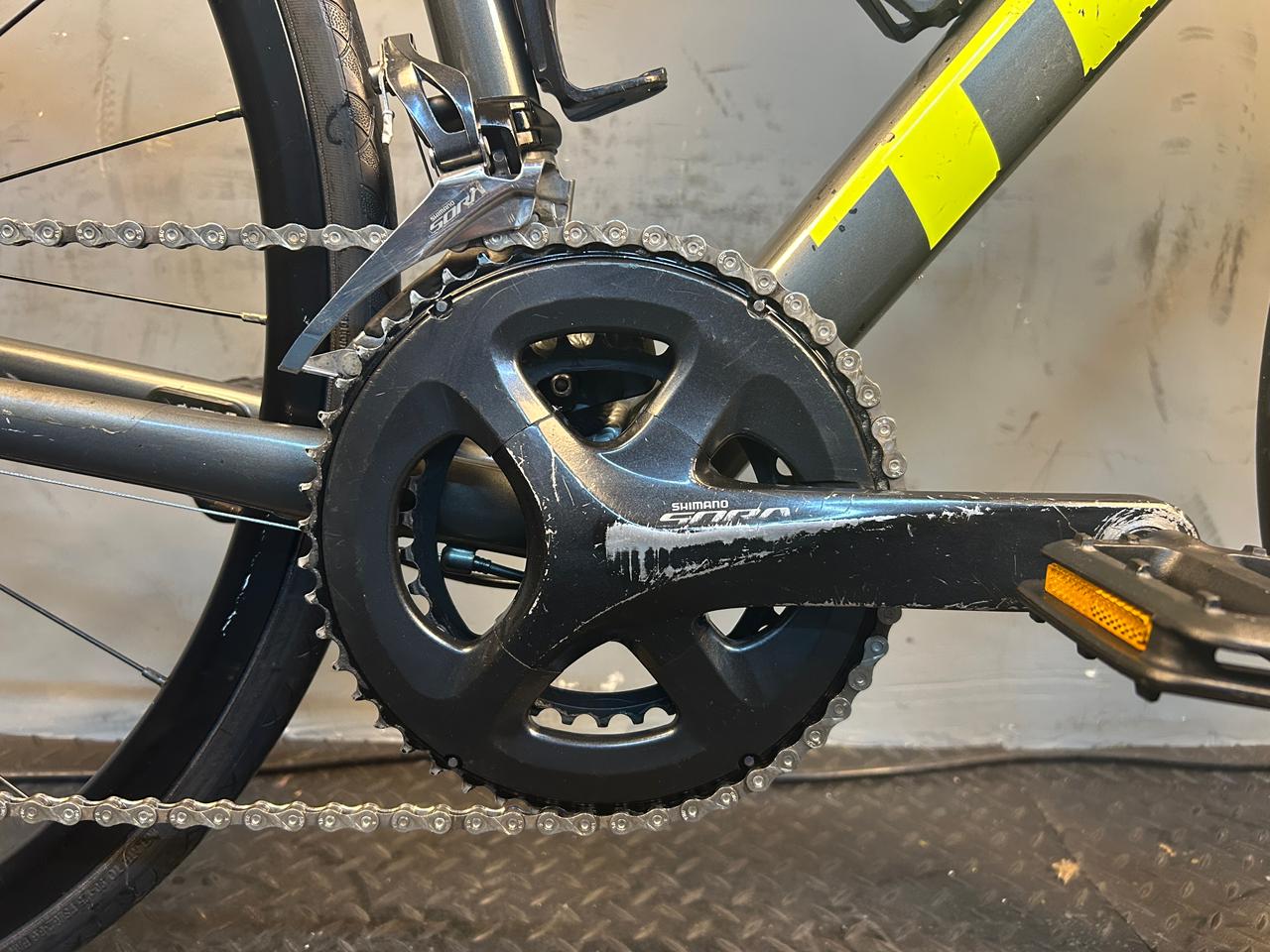 RENT Trek Domane AL3 Road Bike