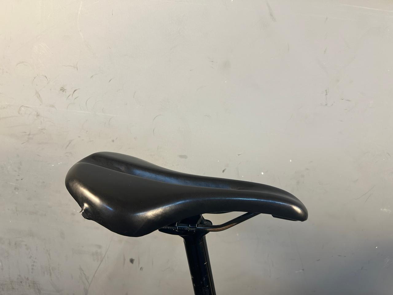 RENT Trek Domane AL3 Road Bike