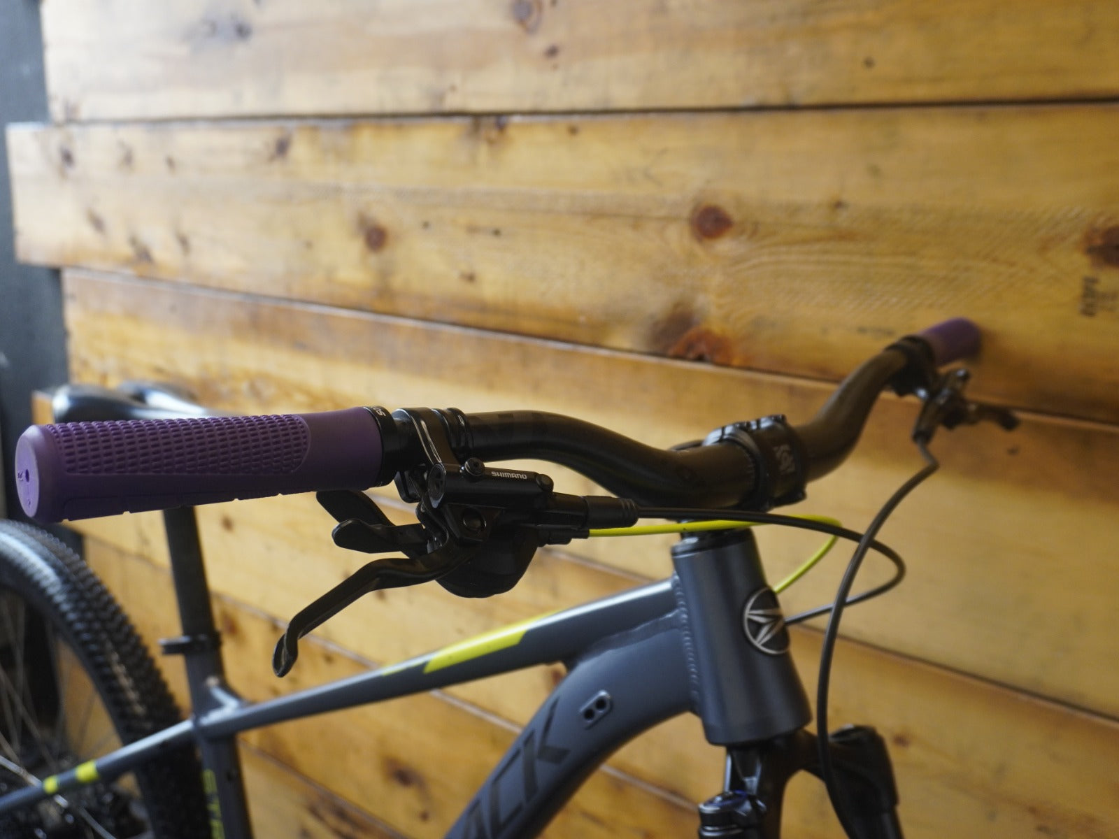 Silverback Stride 29" Comp Mountain Bike