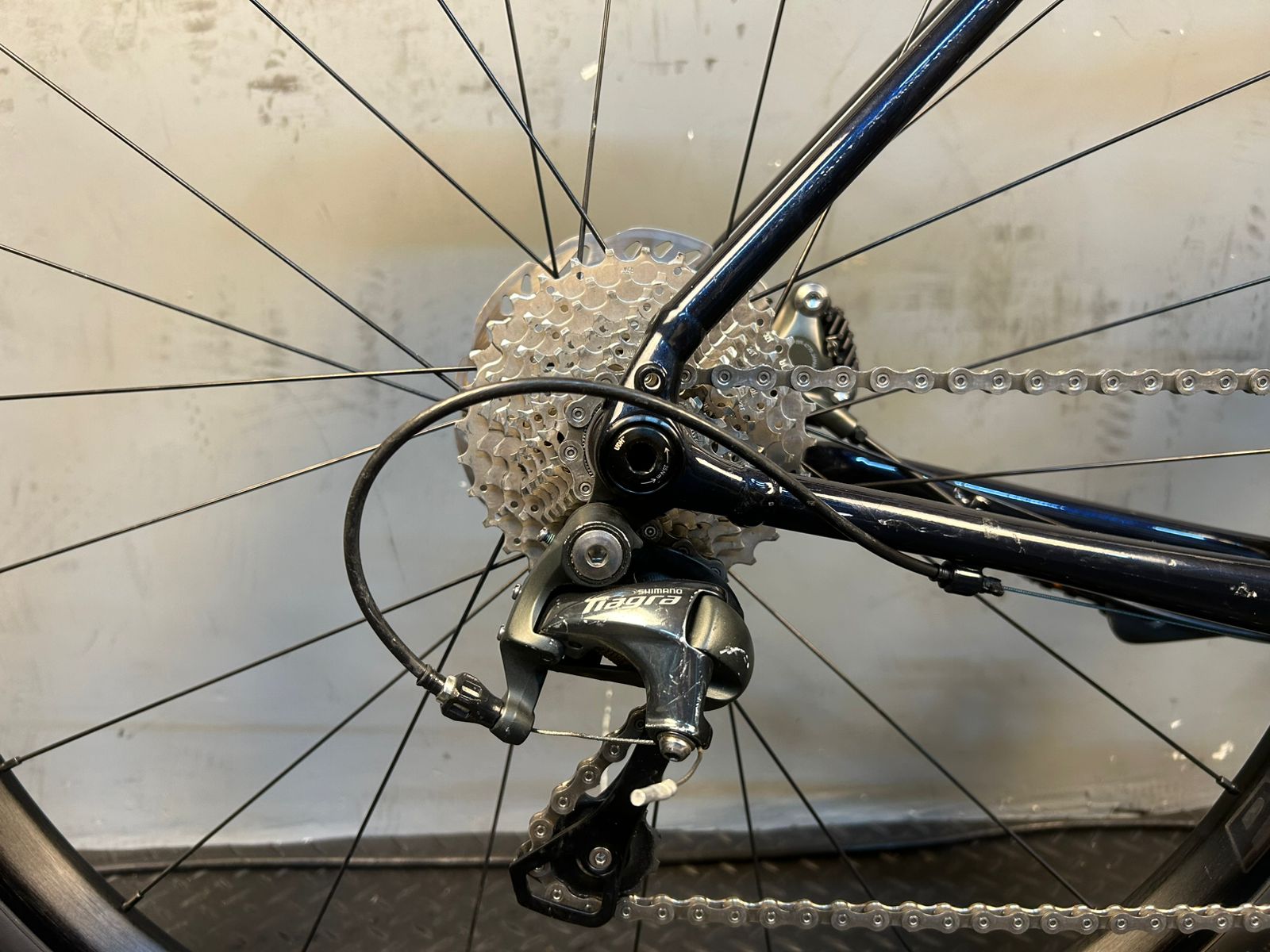 RENT Trek Domane AL4 Road Bike