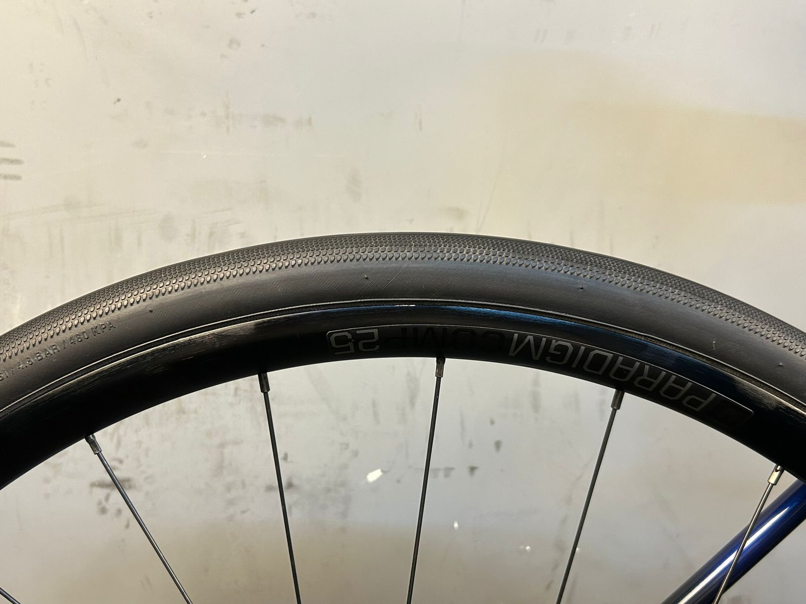 RENT Trek Domane AL4 Road Bike