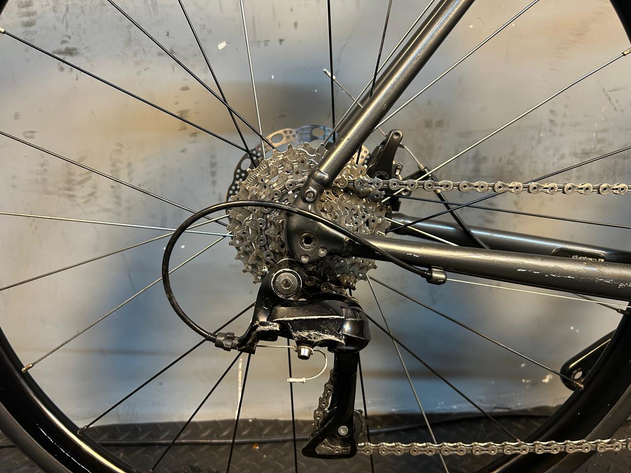 RENT Trek Domane AL3 Road Bike