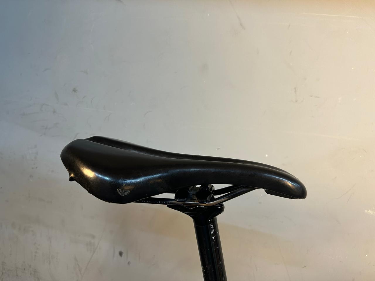 RENT Trek Domane AL3 Road Bike