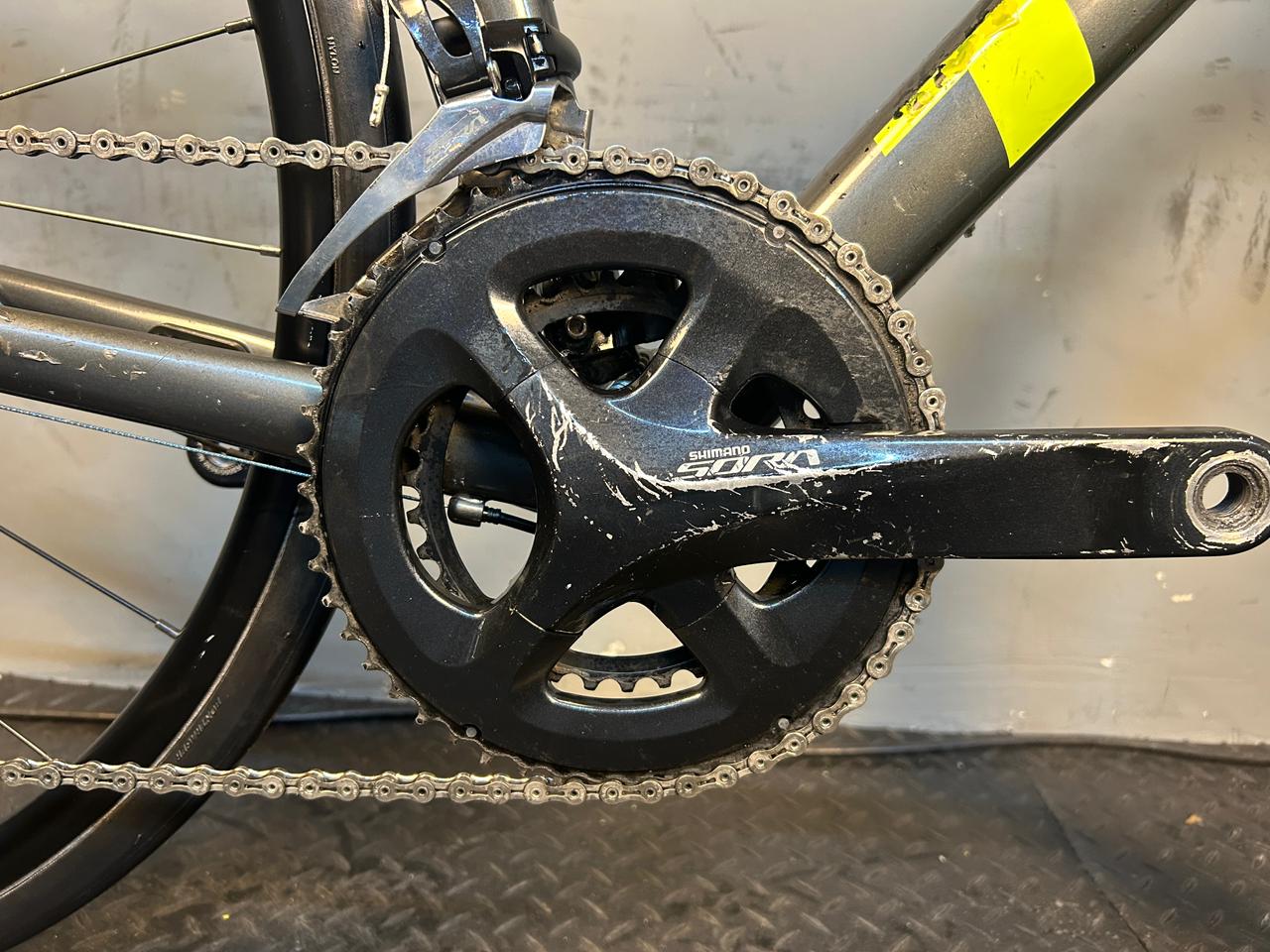RENT Trek Domane AL3 Road Bike