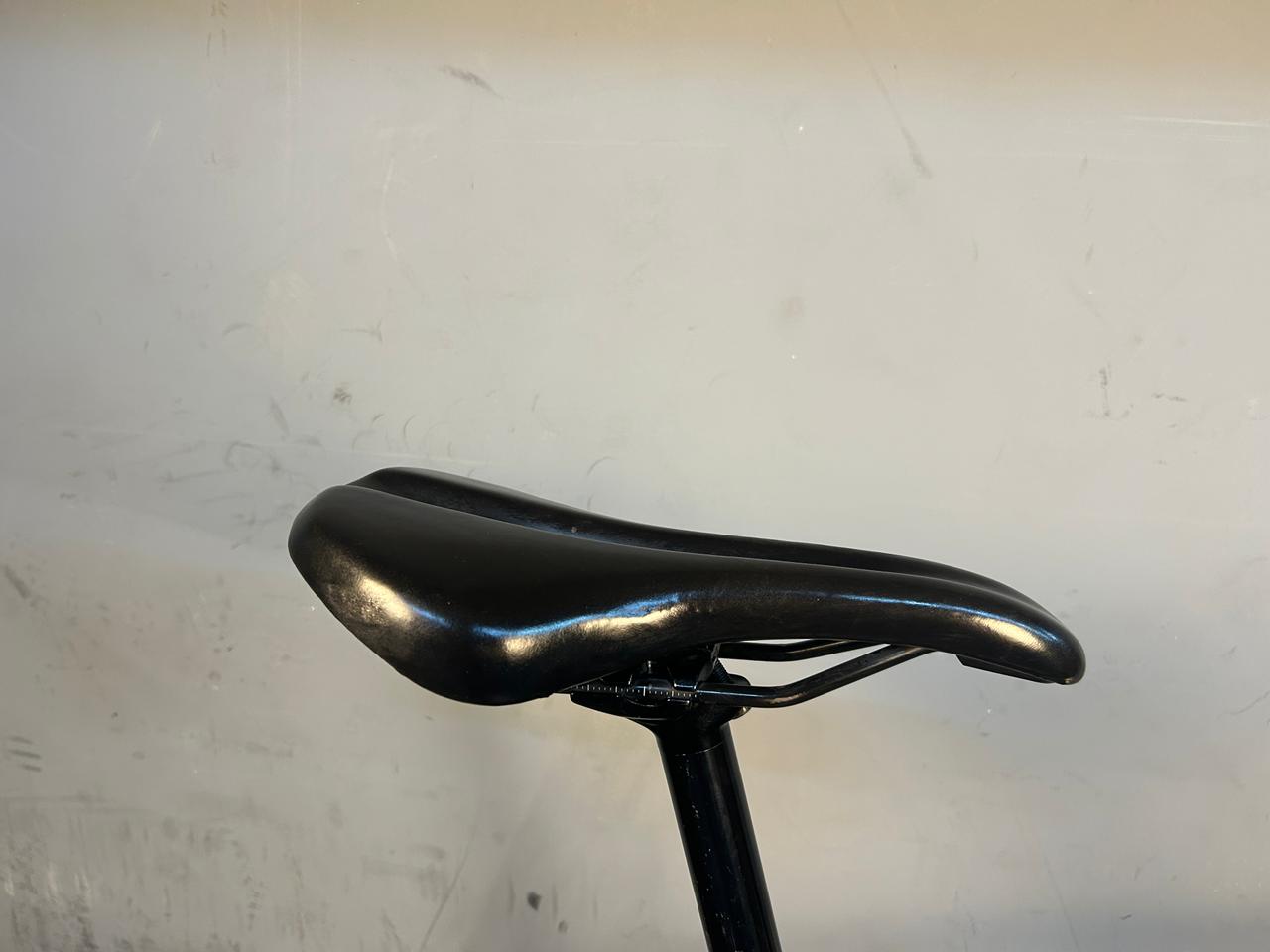 RENT Trek Domane AL3 Road Bike