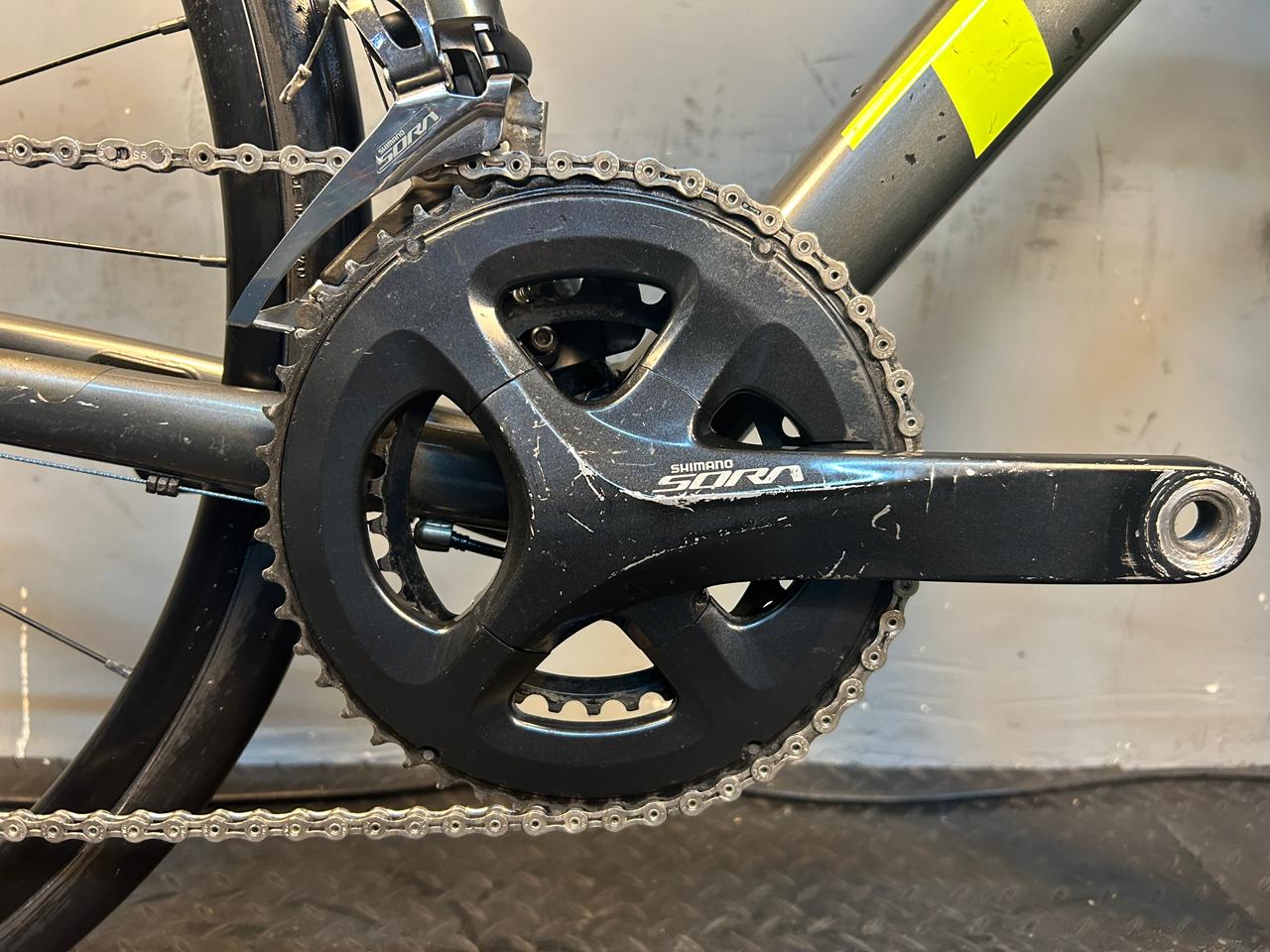 RENT Trek Domane AL3 Road Bike