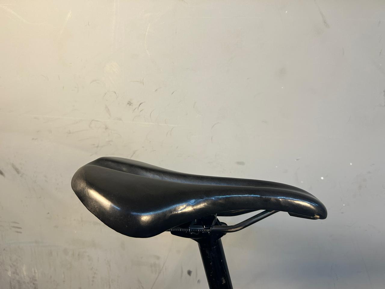 RENT Trek Domane AL3 Road Bike