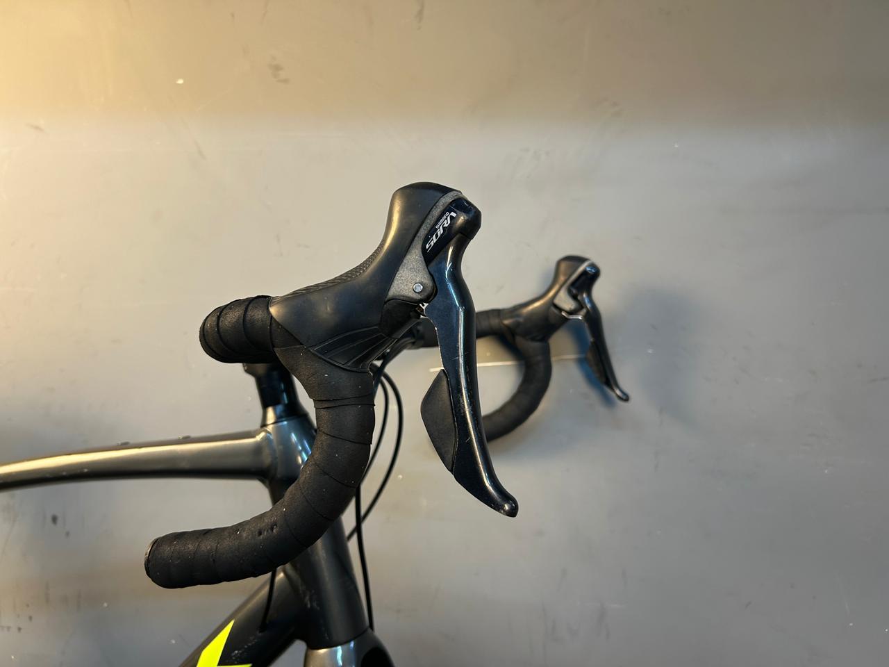 RENT Trek Domane AL3 Road Bike
