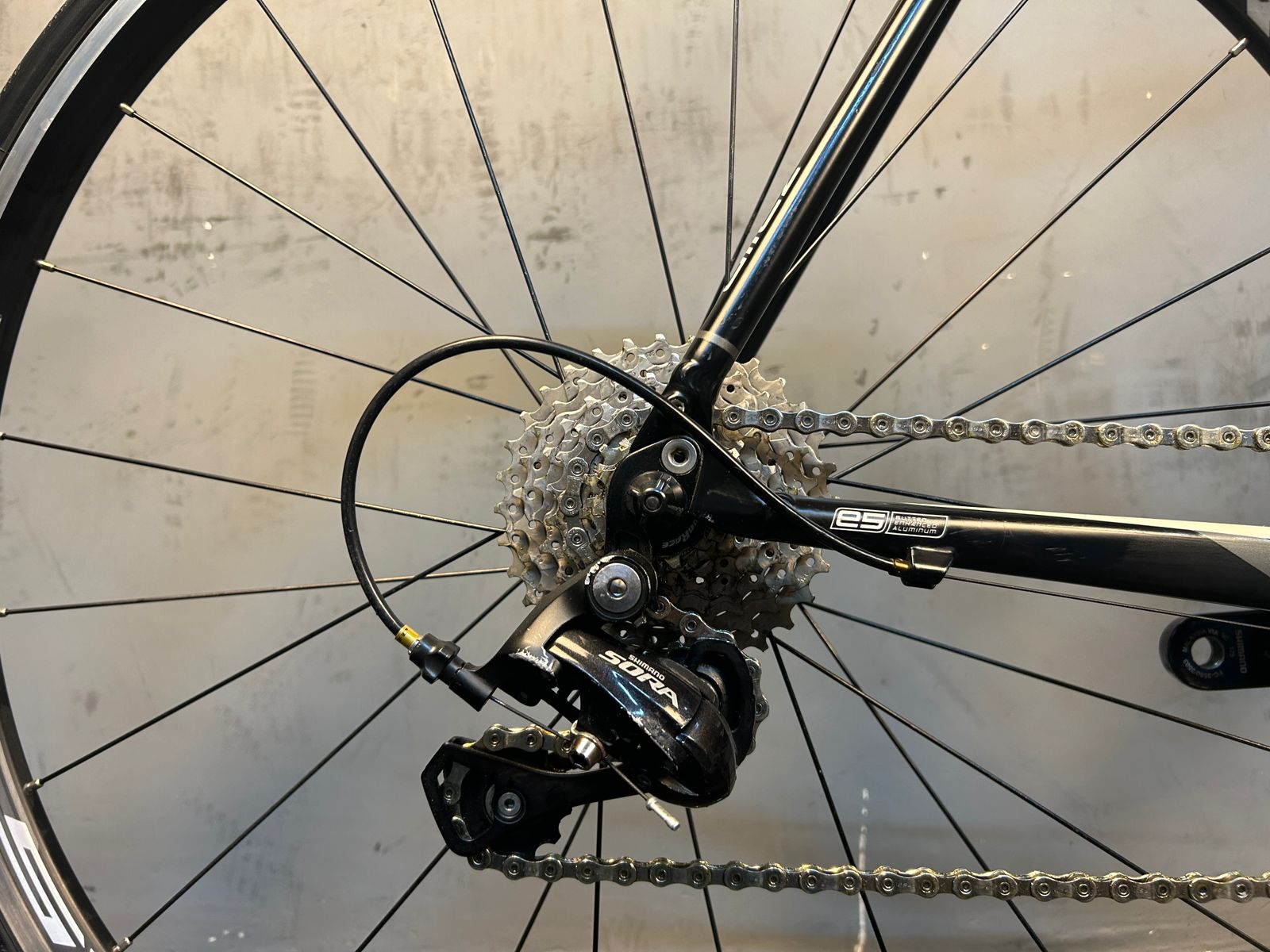 RENT Specialized Allez Sport Road Bike