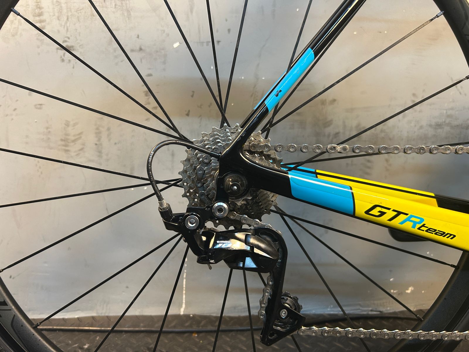 RENT Willier Triestina GTR Road Bike