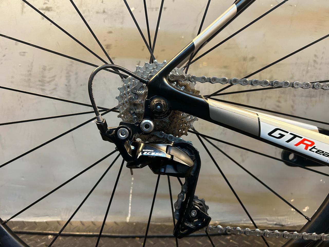 RENT Willier Triestina GTR Road Bike
