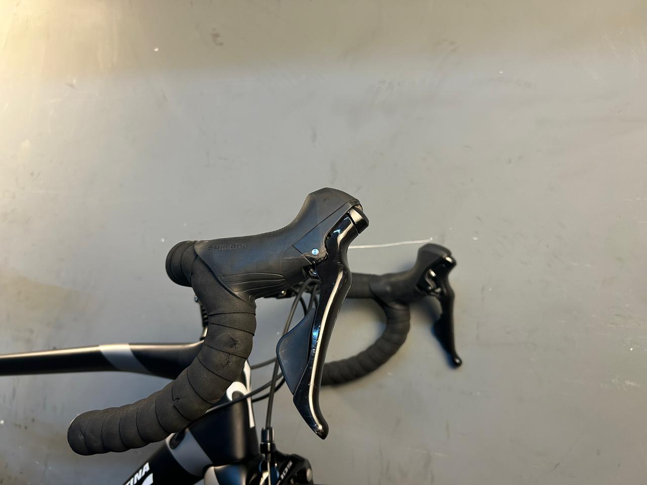 RENT Willier Triestina GTR Road Bike