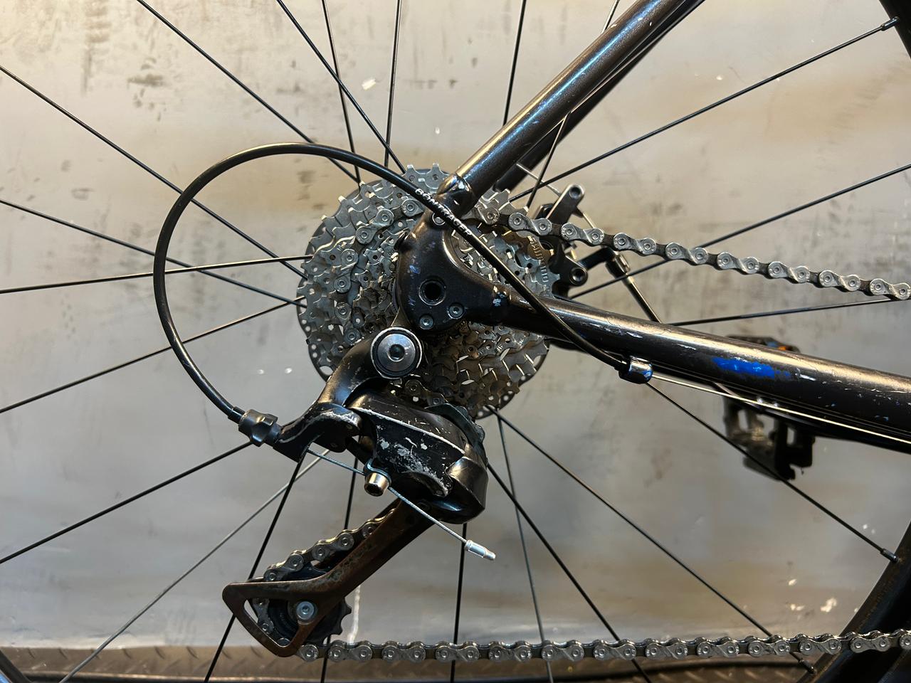 RENT Trek Domane AL3 Road Bike