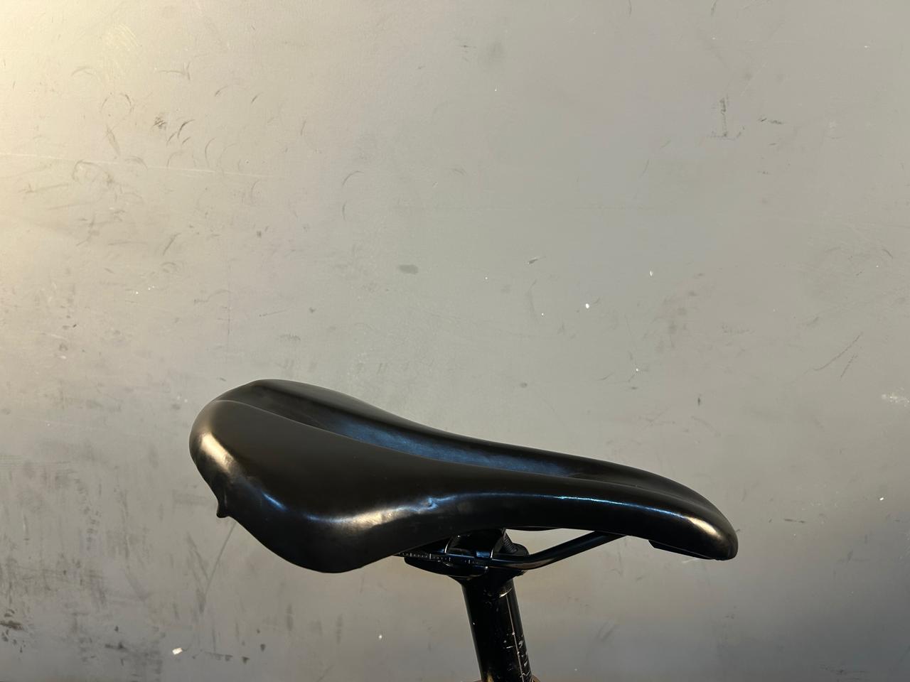 RENT Trek Domane AL3 Road Bike