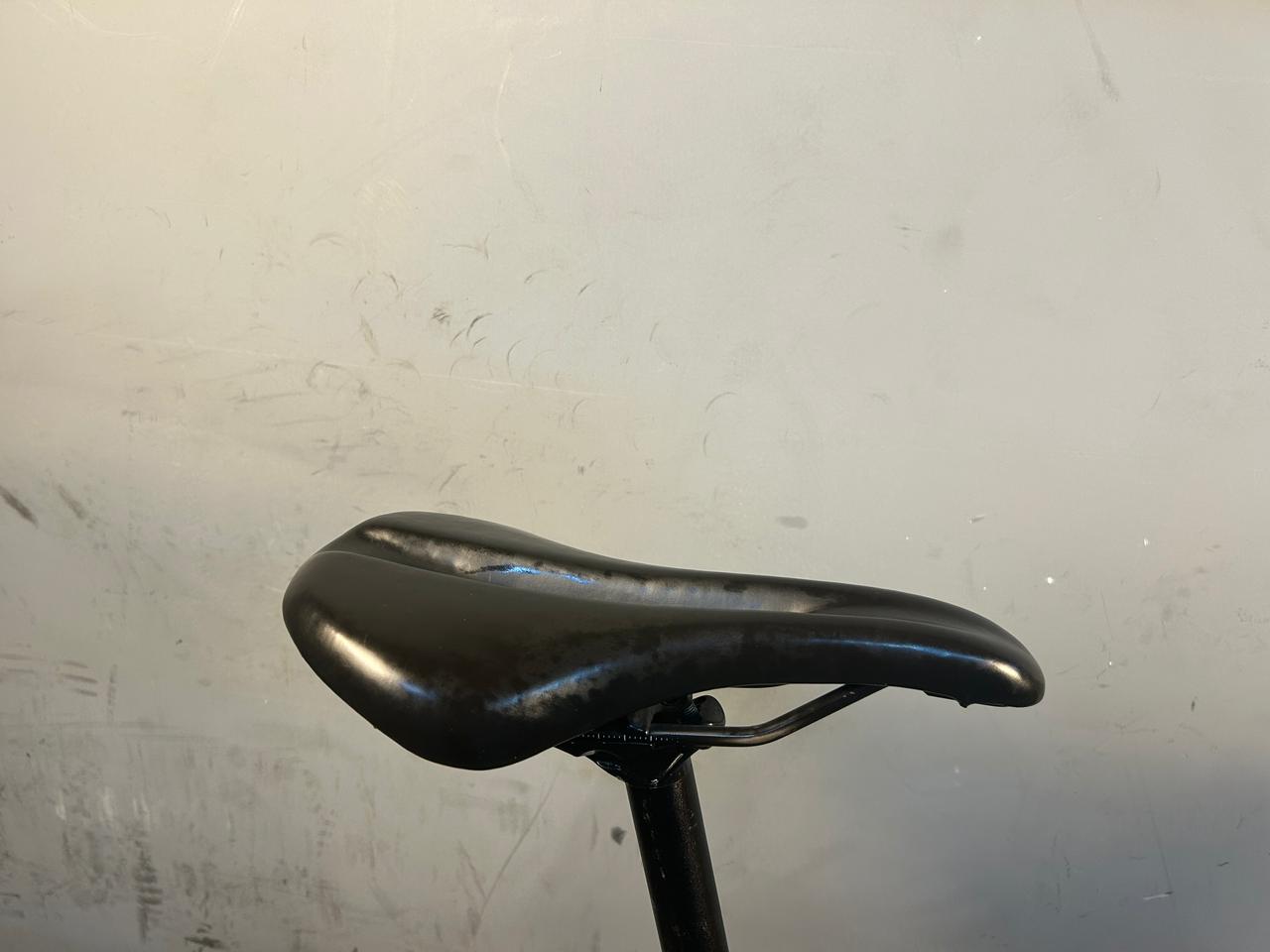 Trek Domane AL2 Road Bike