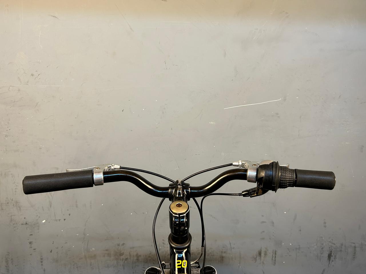 Trek Precaliber 20" Kids Bike