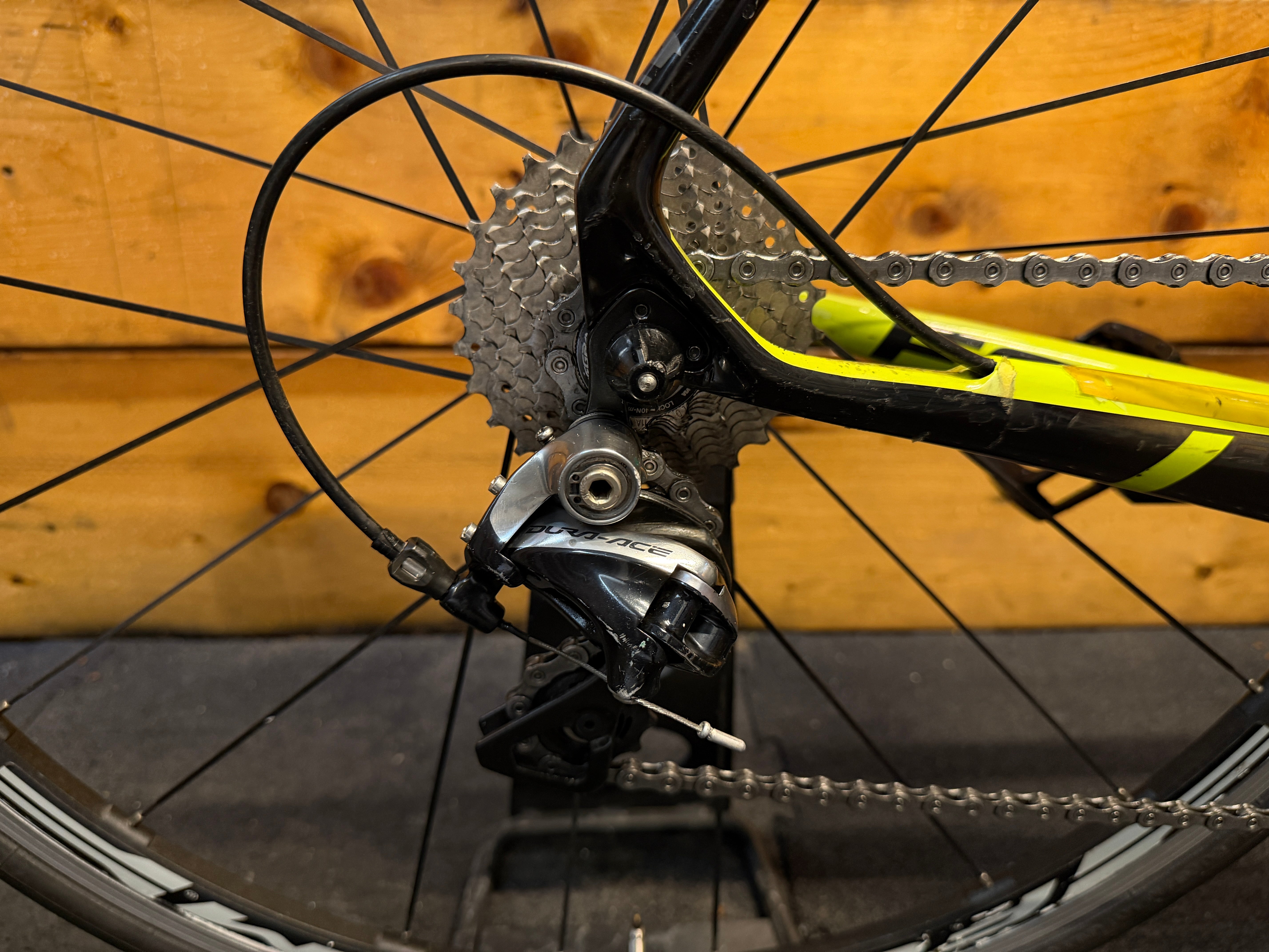 RENT Focus Izalco Team SL 3.0 Road Bike