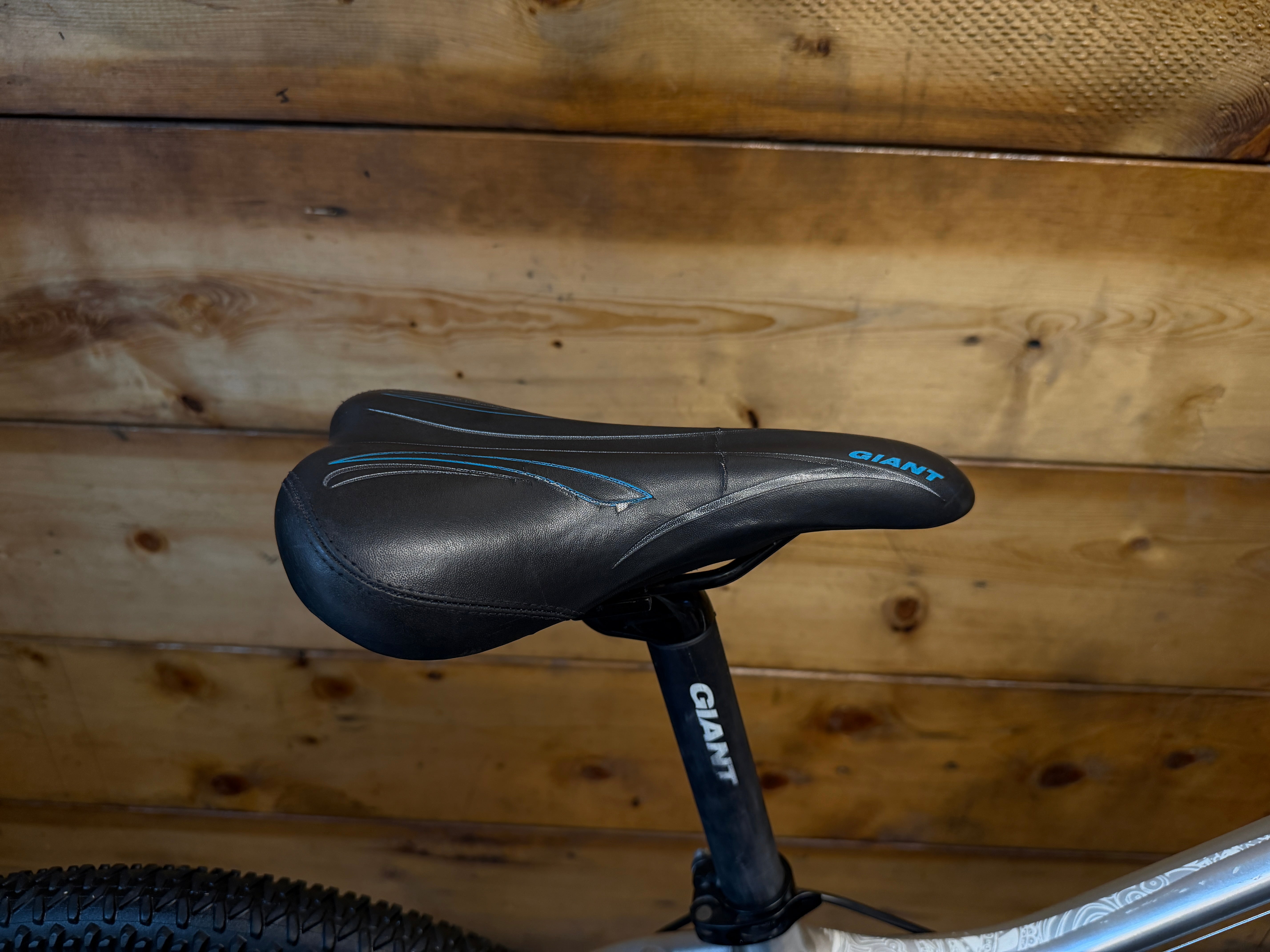 Giant Revel Mountain Bike