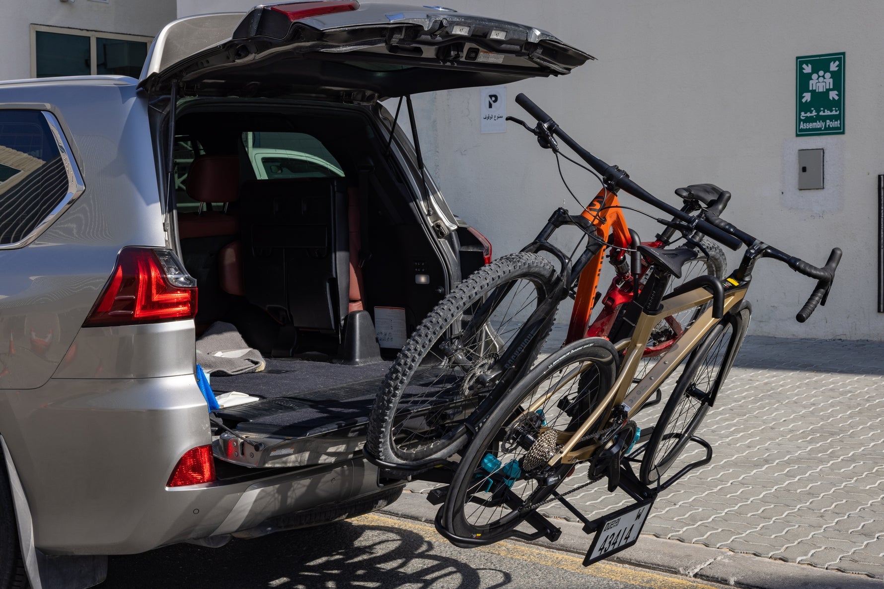 BEARACK Hitch Bike Rack Bicycle carrier TRAIBLAZER 2 (BC-7850-2)