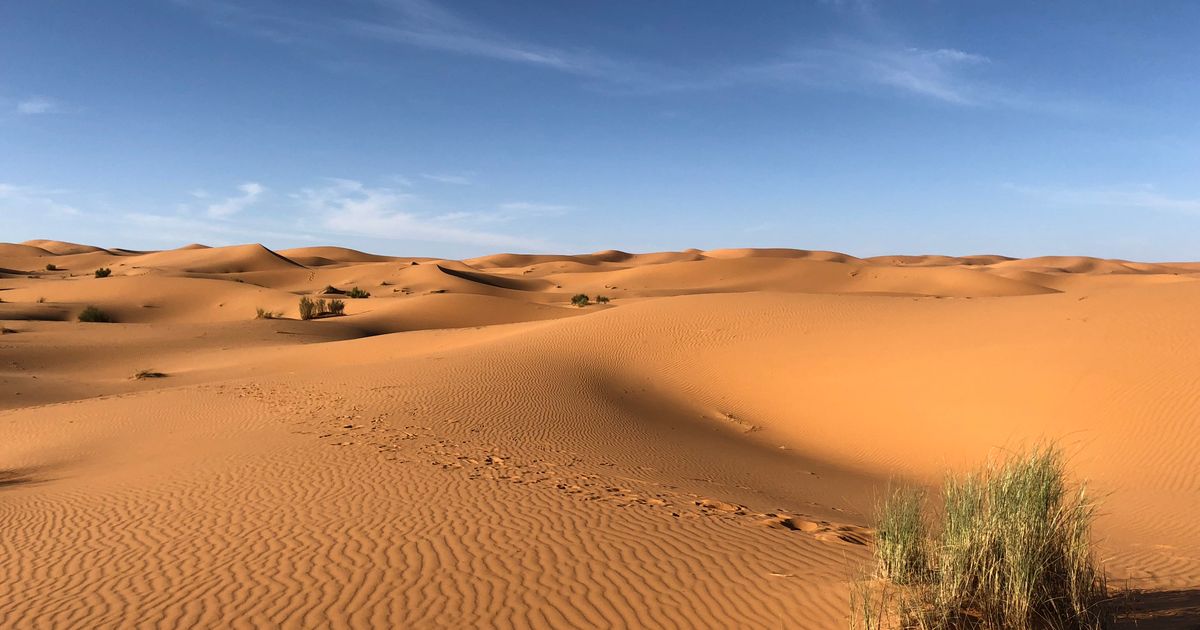 Fat Bike Dubai: Desert Riding, Trails, and Where to Buy