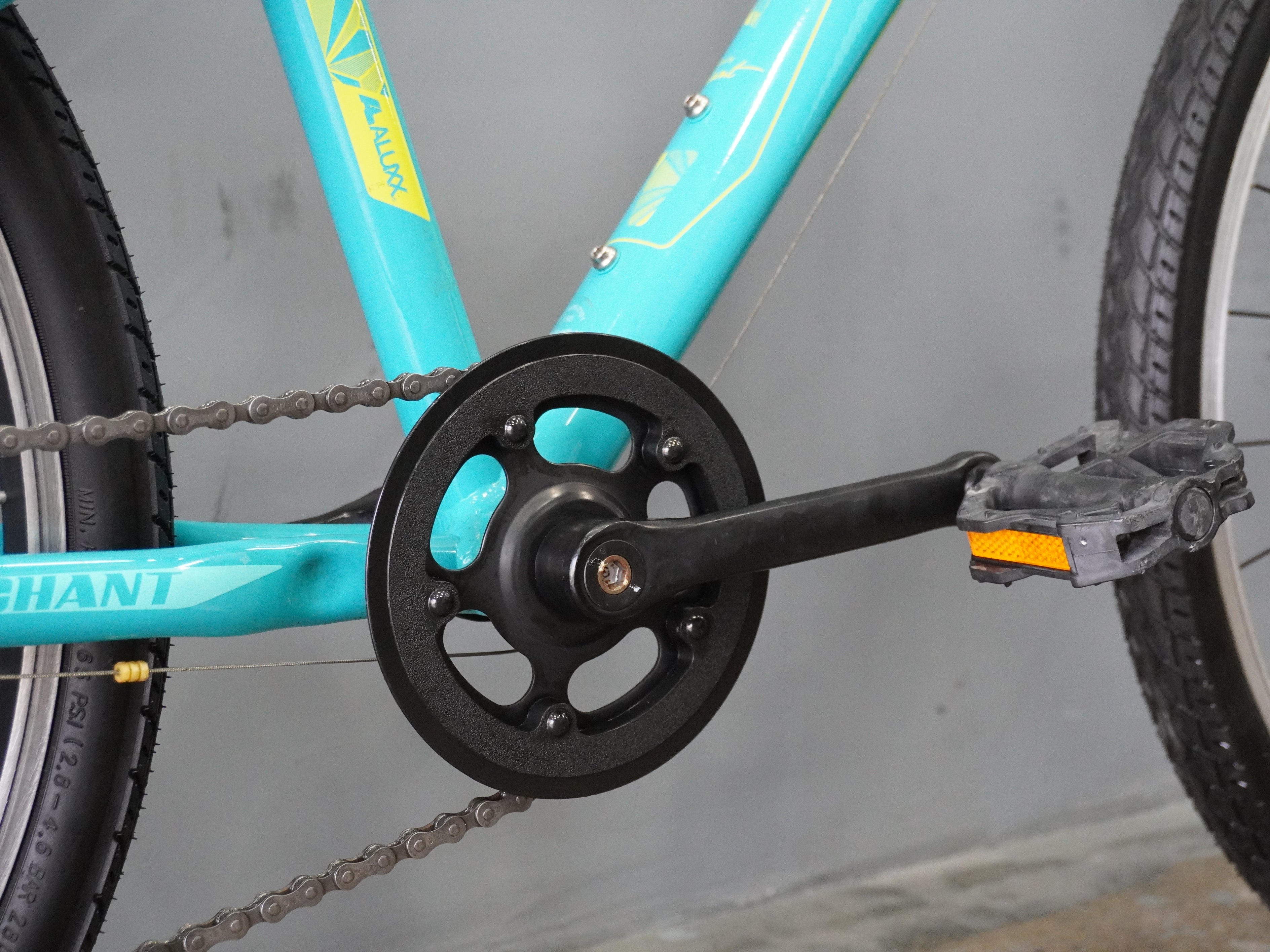 Liv Enchant Kids Bike