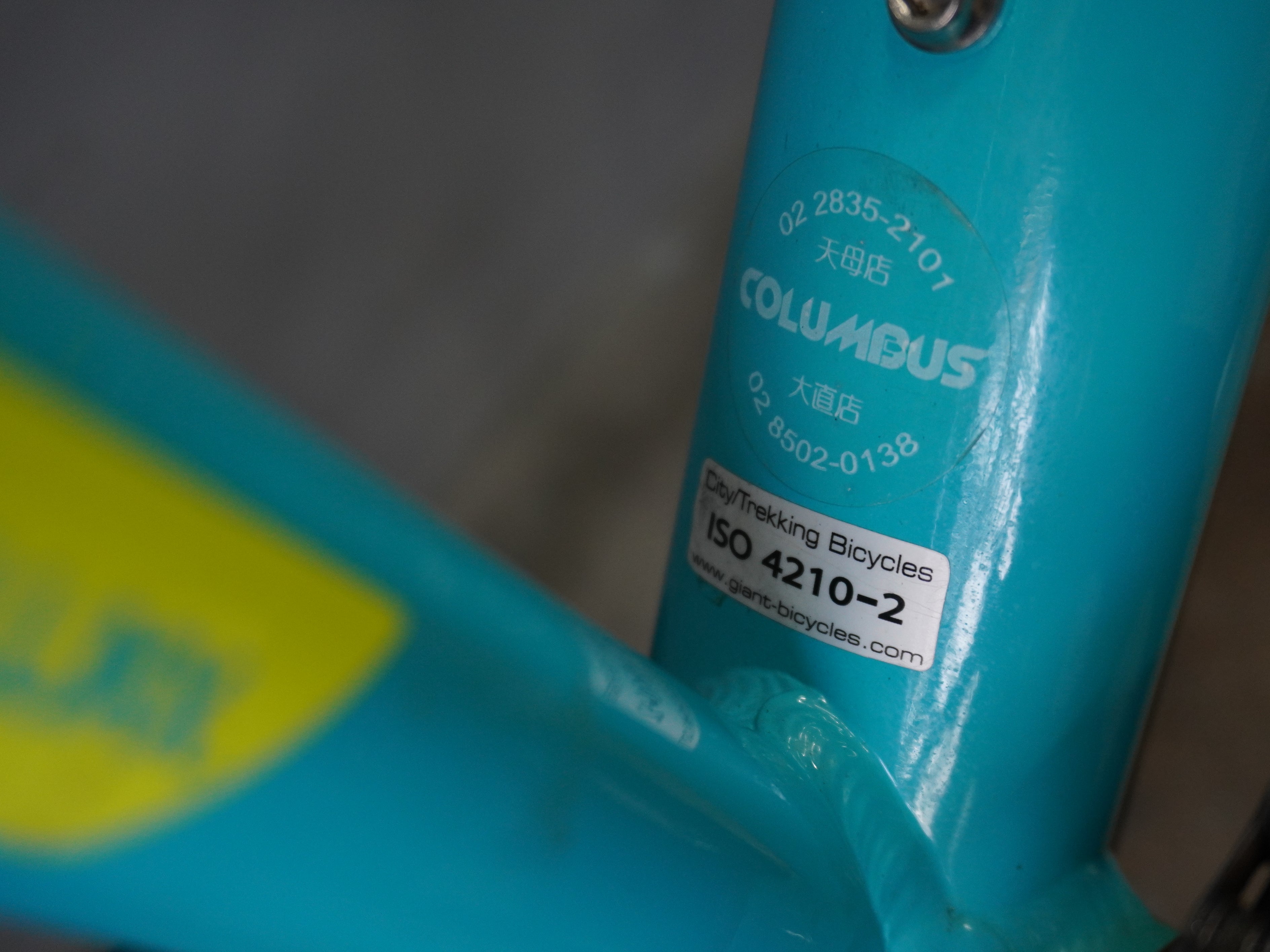 Liv Enchant Kids Bike