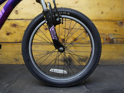 Fuji Dynamite Kids Bike