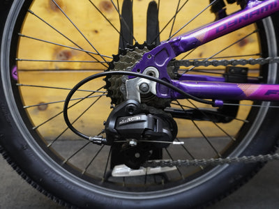 Fuji Dynamite Kids Bike