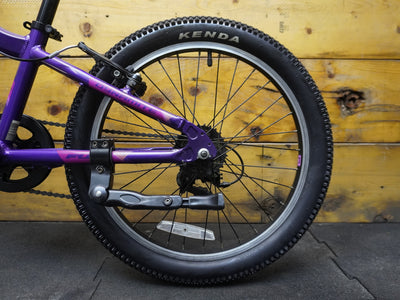 Fuji Dynamite Kids Bike