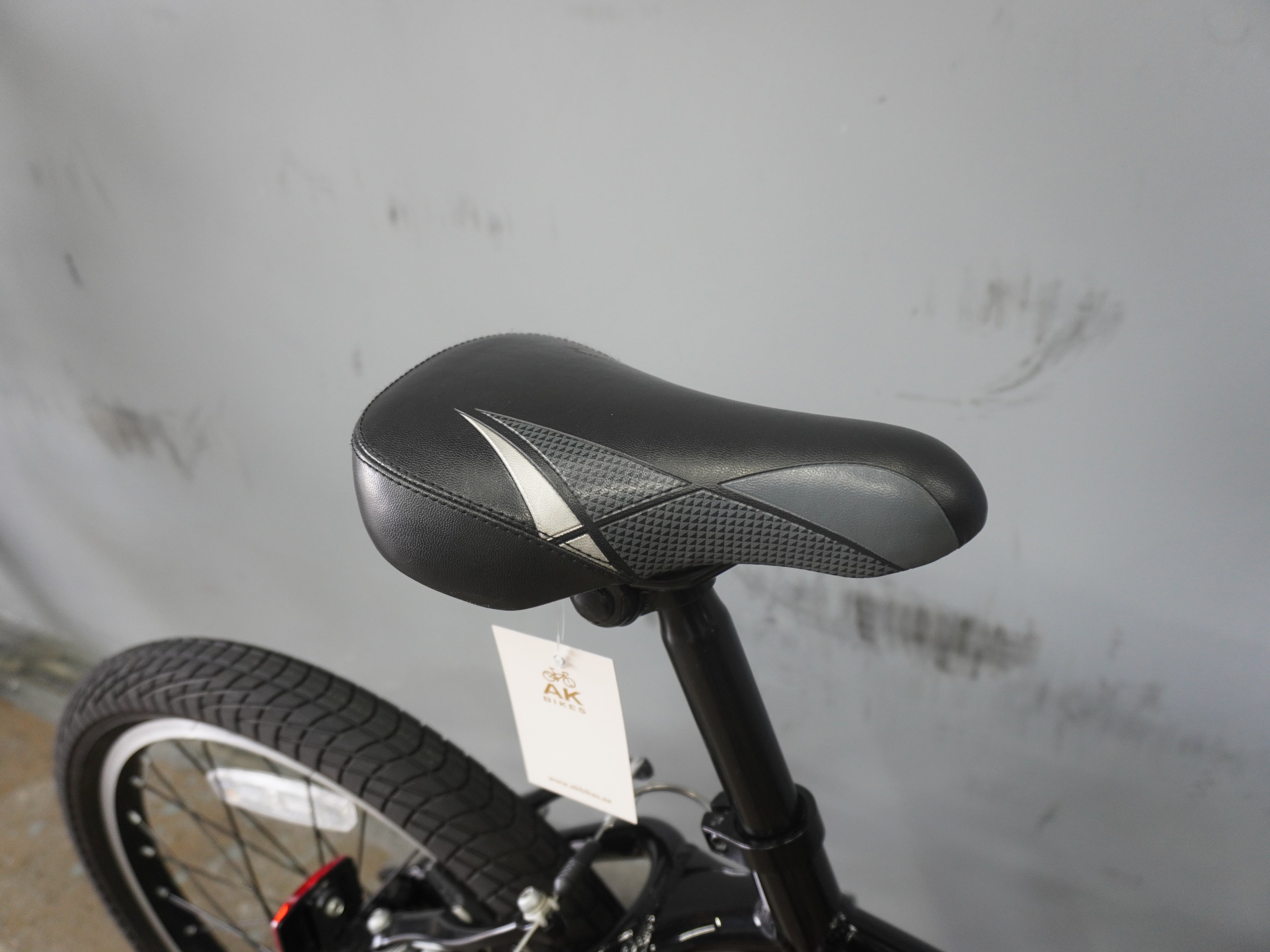 Giant Moda Kids Bike