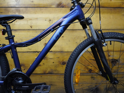 Liv Bliss Mountain Bike