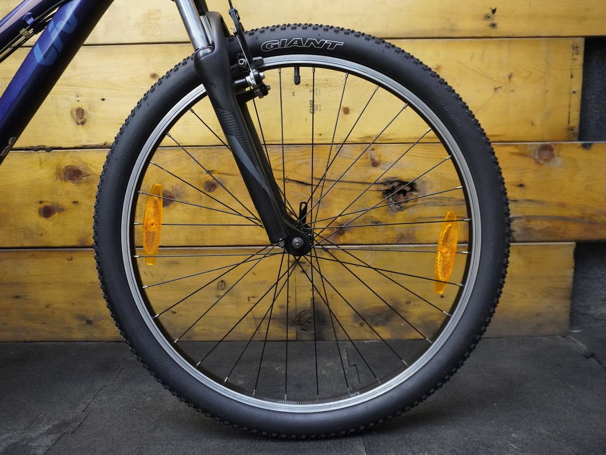 Liv Bliss Mountain Bike