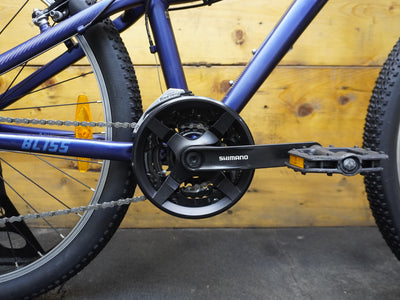 Liv Bliss Mountain Bike