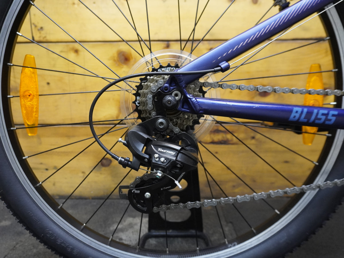 Liv Bliss Mountain Bike