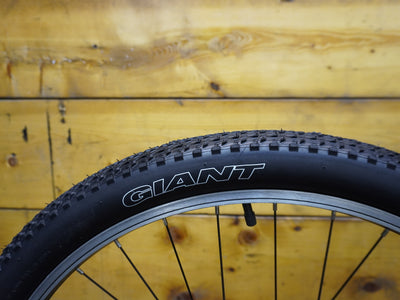 Liv Bliss Mountain Bike