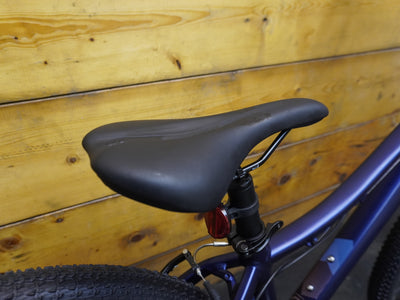 Liv Bliss Mountain Bike