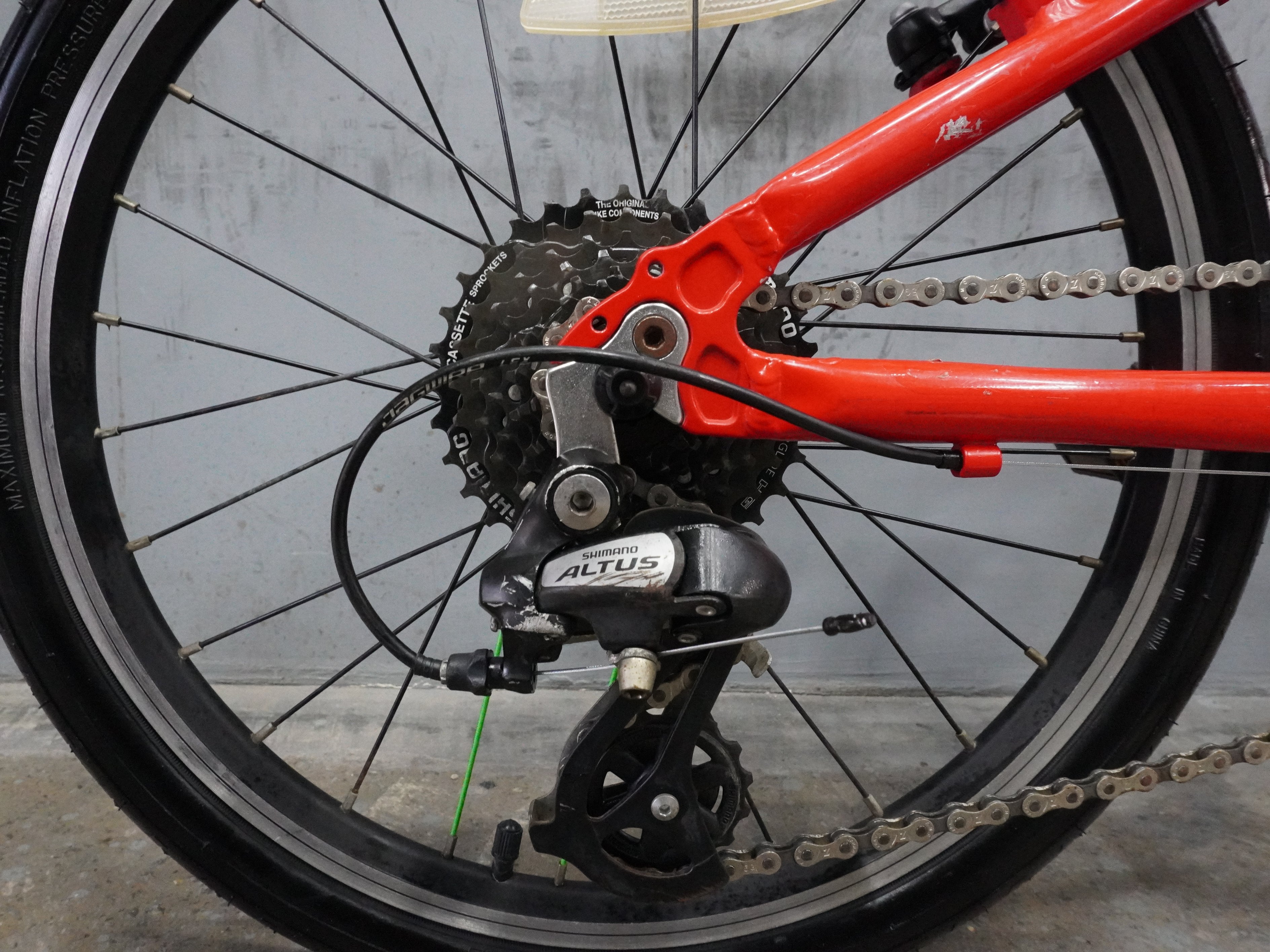Frog 55 Kids Bike