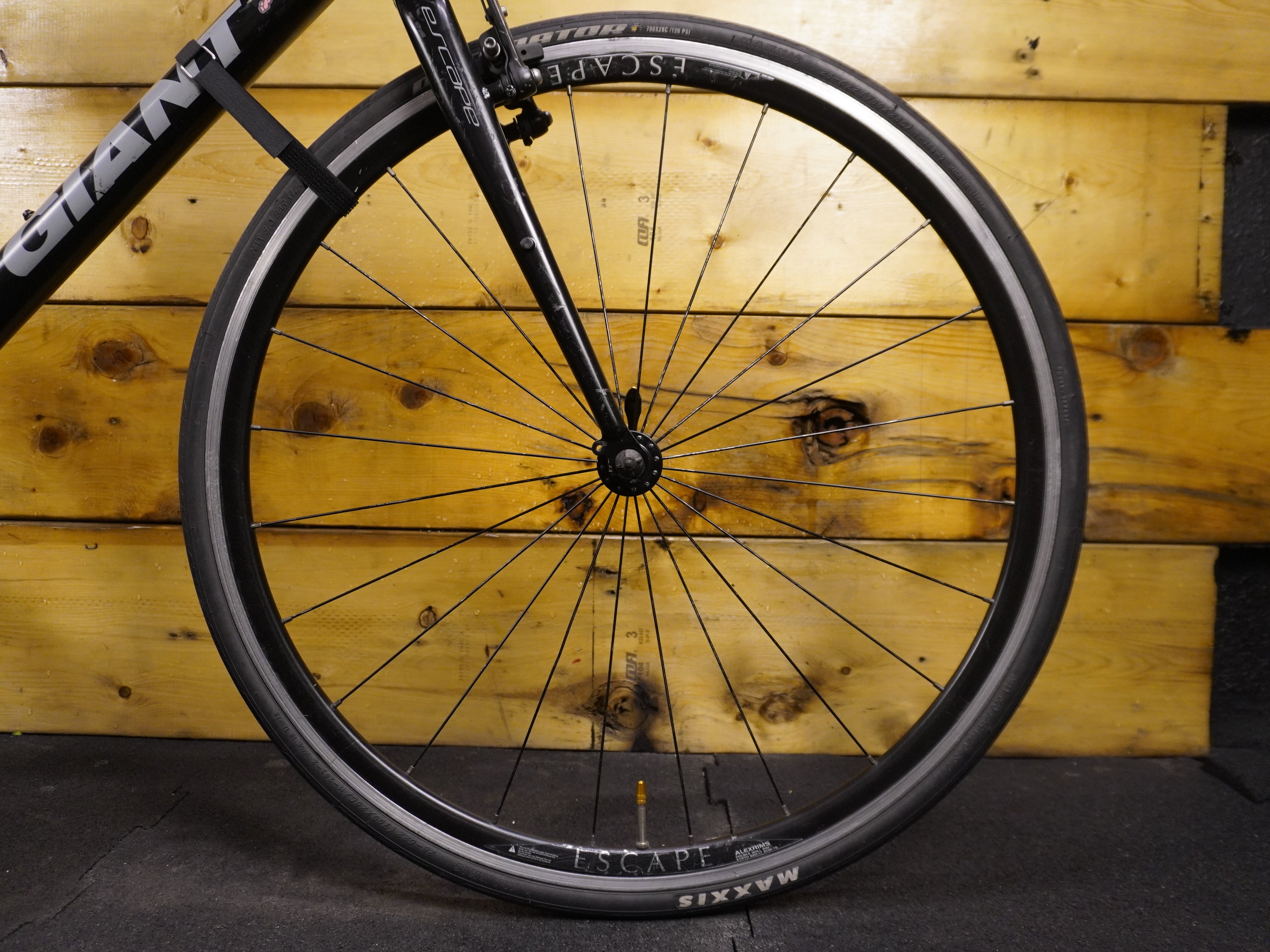 RENT Giant Escape 3 Hybrid Bike